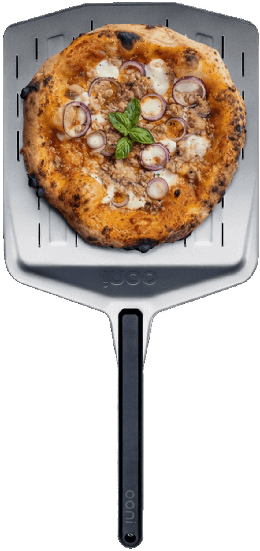 Freshly baked pizza with mushrooms and sliced red onions on a metal pizza peel.